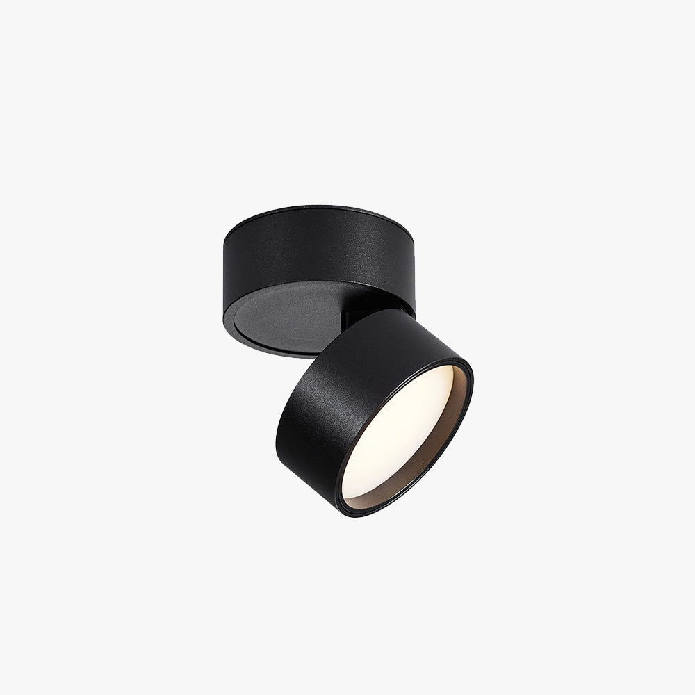 Novak | Cylindryczna lampa sufitowa LED typu spotlight do salonu i korytarza